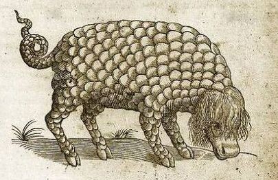 Катоблепас - особенный зверь из примечаний, заменивший сегодня обычный скриншот