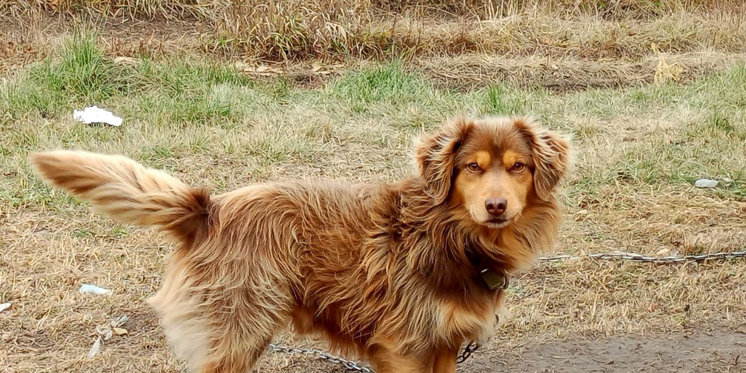 «Лоб в лоб с Тимошей: утренний сюрприз, после которого я поняла — любовь иногда бьёт больно»