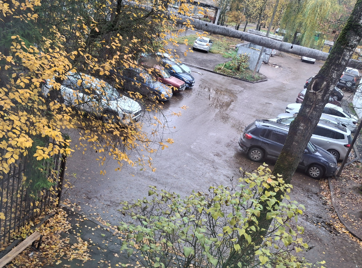 Фотография сделана автором статьи, 30 октября 2025 года