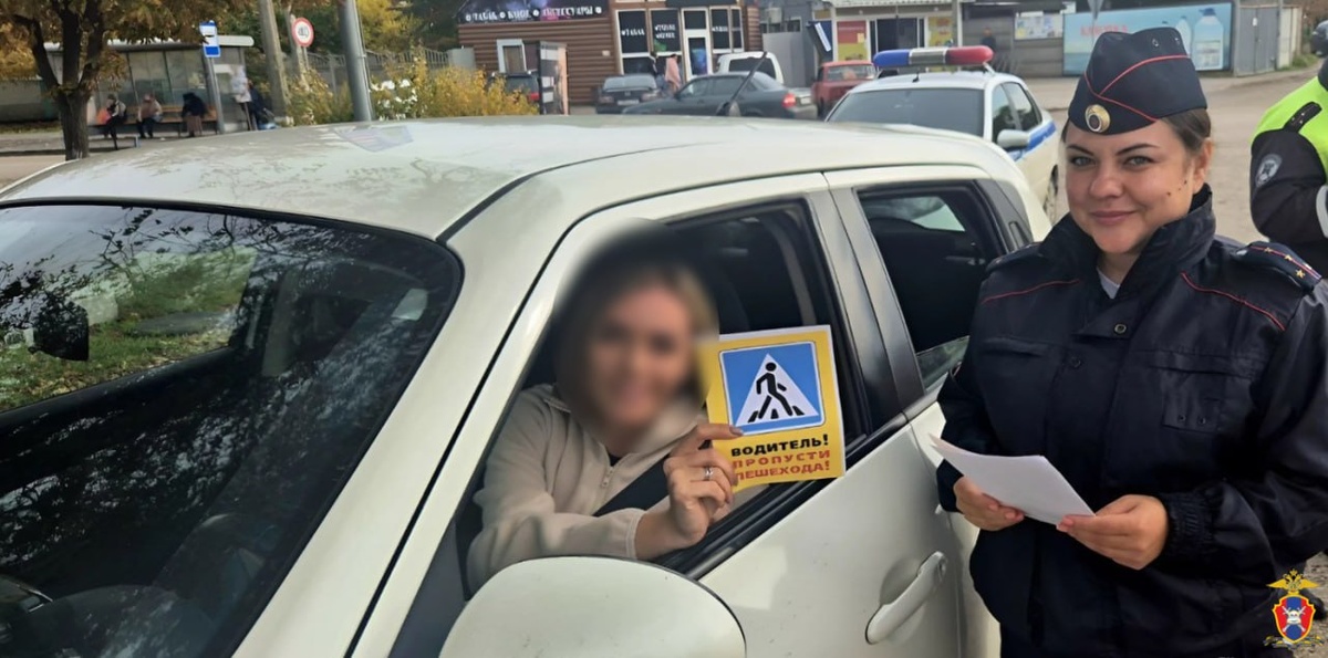    Фото: пресс-служба Госавтоинспекции Херсонской области