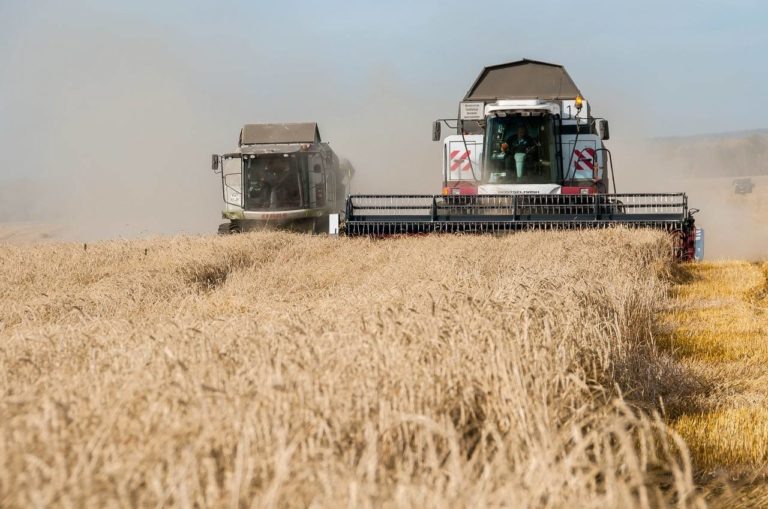    Фото пресс-службы Законодательного собрания Красноярского края Ольга Шмырева
