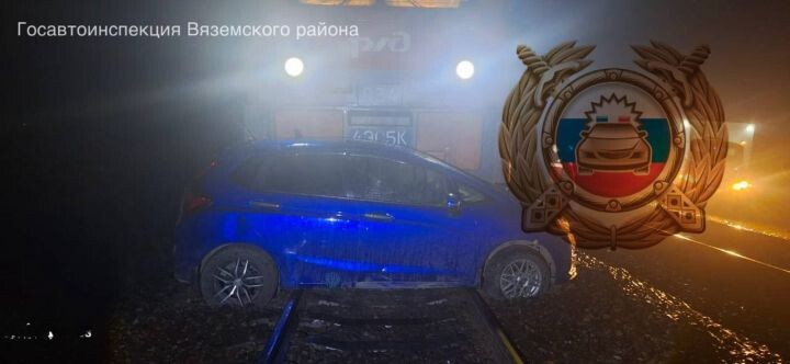    Фото:телеграм-канал «Полиция Вяземского района»