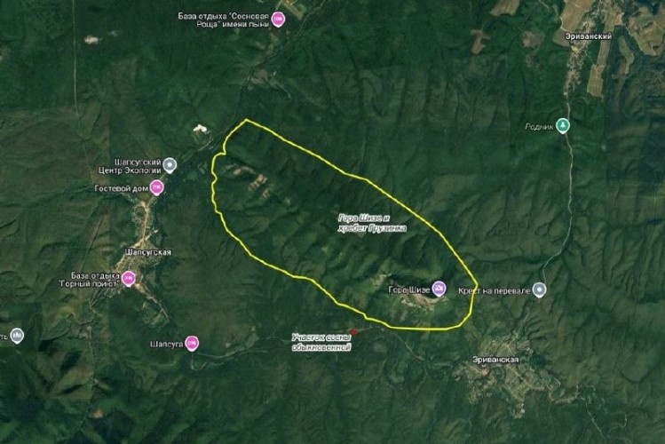    Фото: телеграм-канал главы Абинского района Ильи Биушкина