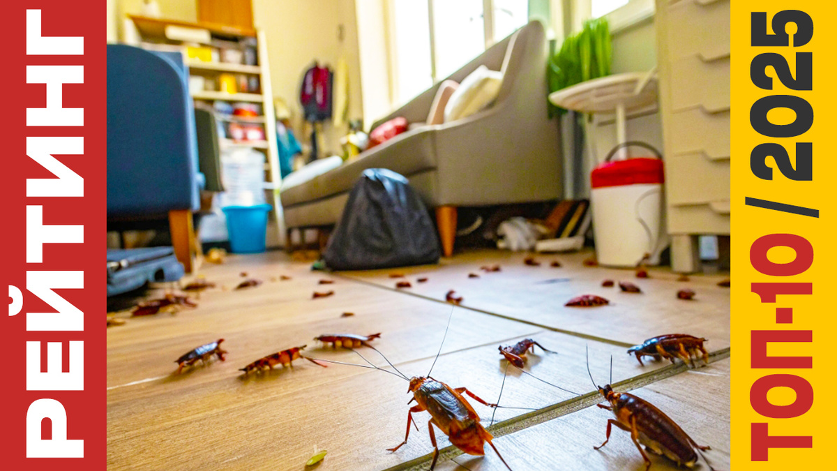 ТОП-10 Средств от тараканов 2025 года: Рейтинг лучших предложений