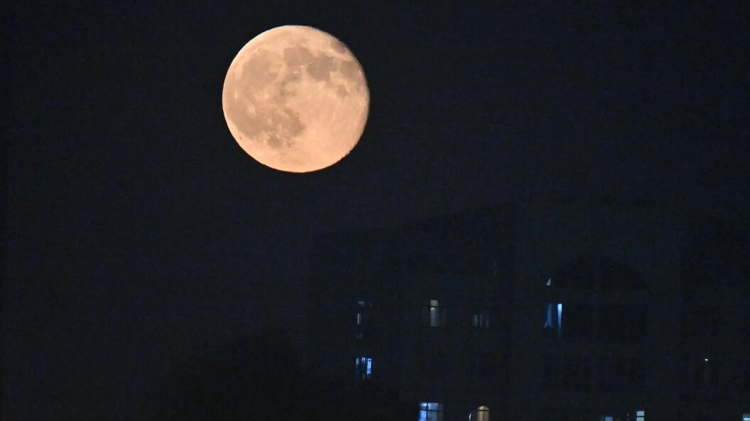    Фото: Komsomolskaya Pravda/Global Look Press