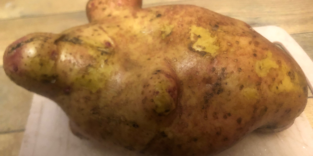 Картошка великан, нужна ли такая?