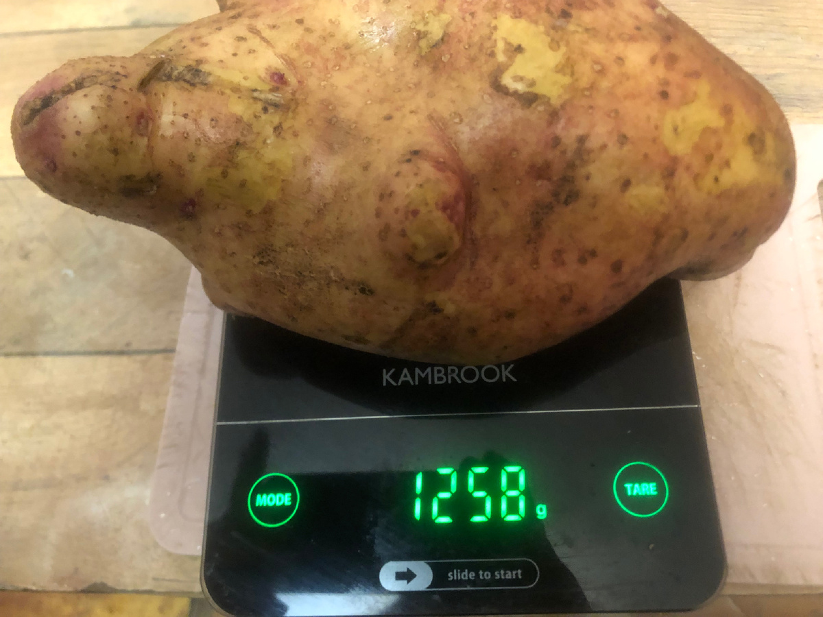 Одной хватит на пюре для всей семьи.