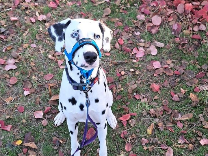 От ледяного балкона и ужасного предательства до тёплых объятий любящей мамы.