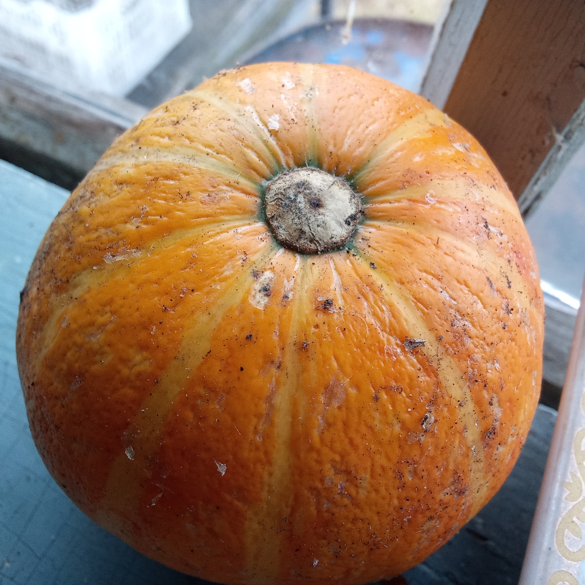 Мой вкусняшки !