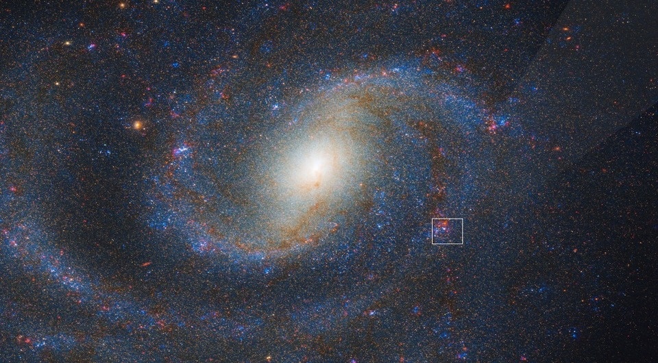   NASA; ESA; CSA; STScI; Charles Kilpatrick; Aswin Suresh