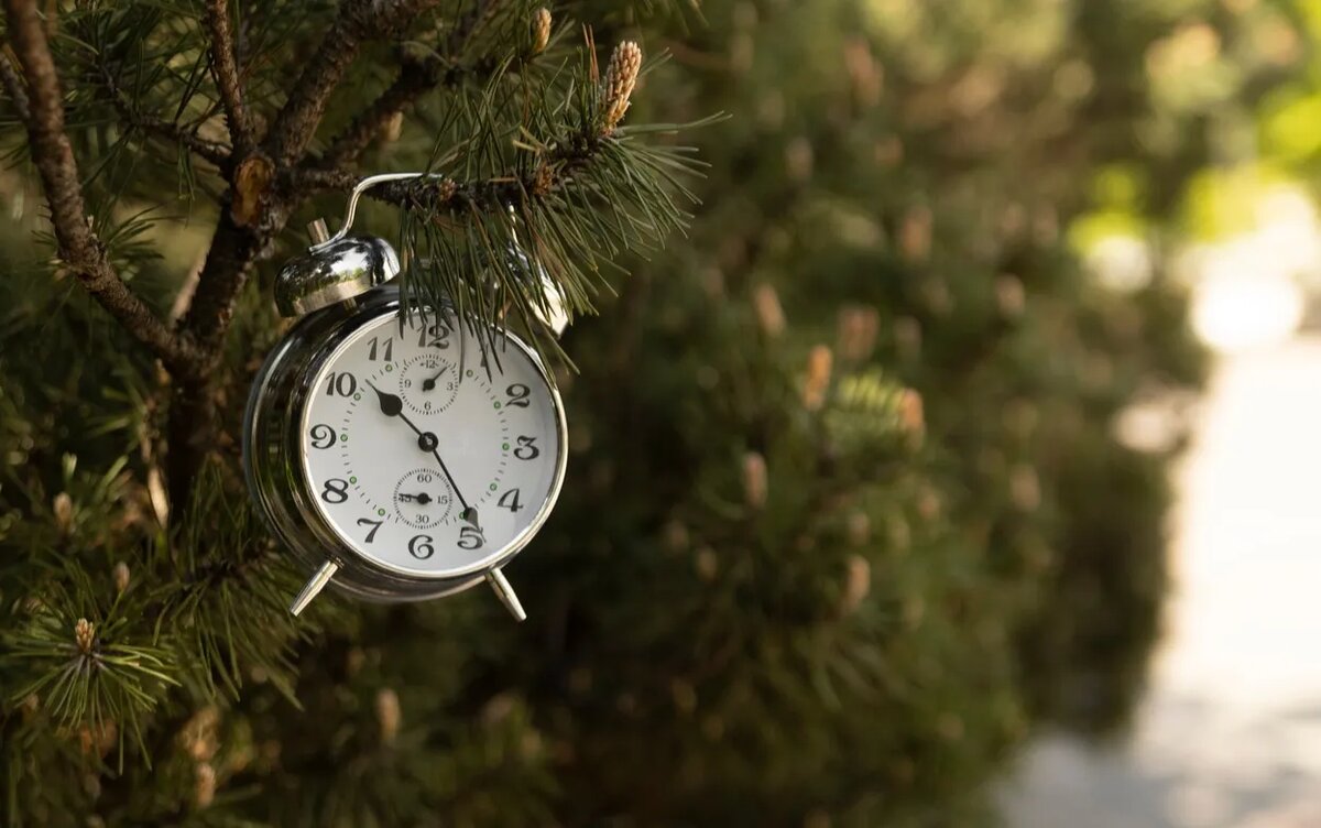    Опрос IZHLIFE: большинство жителей высказались против перевода часов на зимнее и летнее время