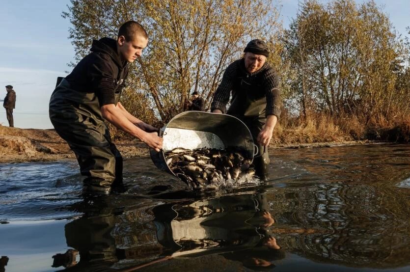 Фото: Валерий Звонарев