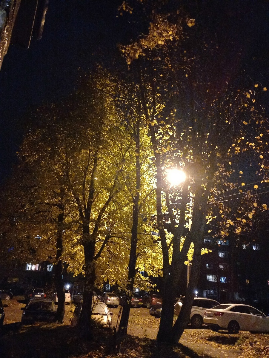 фото автора 30,10,25