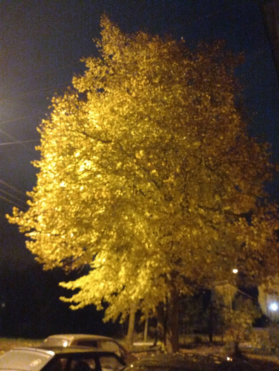 фото автора 30,10,25