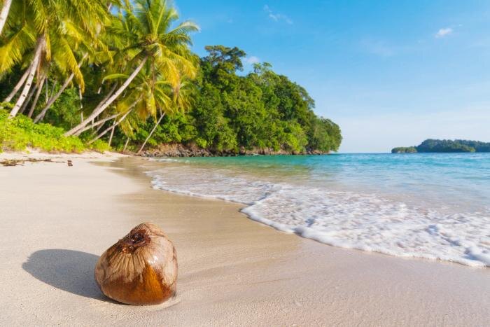 Обложка © Shutterstock / FOTODOM / sunsinger