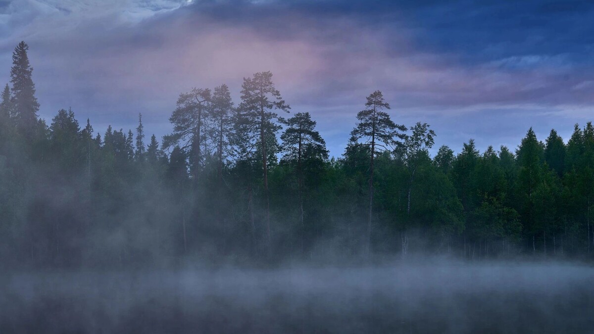    Фото: Ondrej Prosicky/Shutterstock/Fotodom