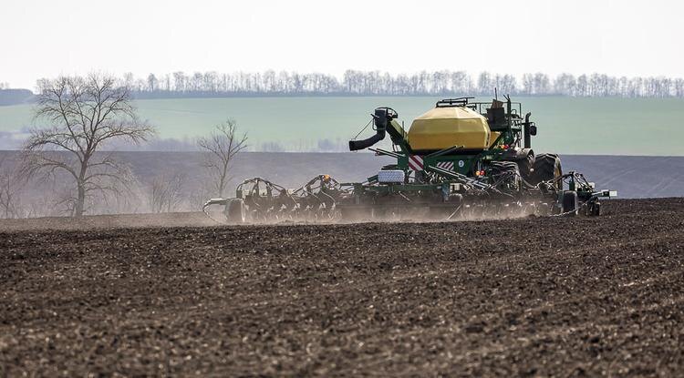 Фото: Павел Колядин (архив)