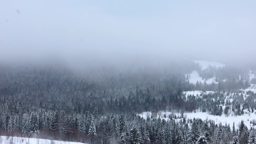    Elena Mayorova/Globallookpress