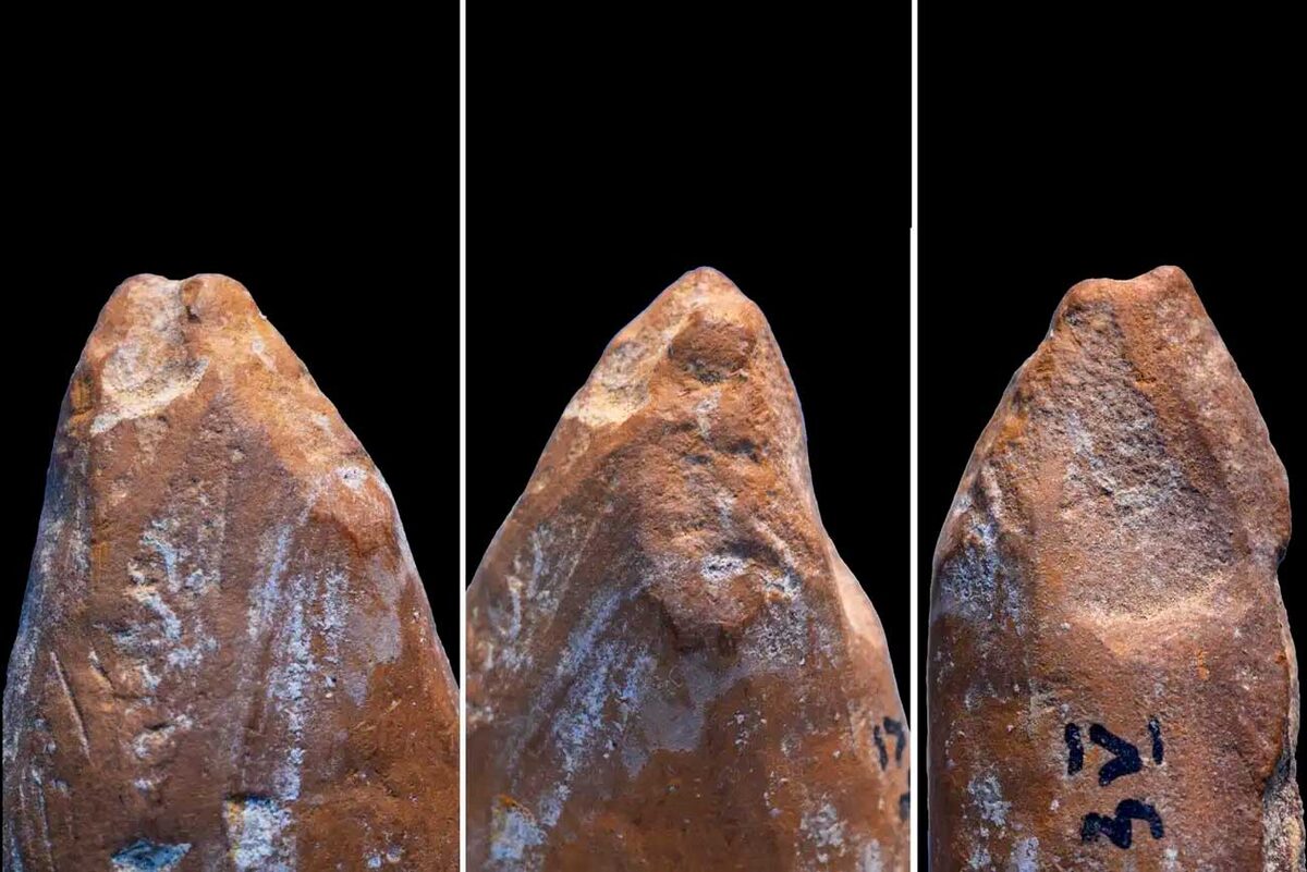    Фрагмент охры, использовавшейся в качестве «карандаша» / © d’Errico et al., Sci. Adv. 11, eadx4722