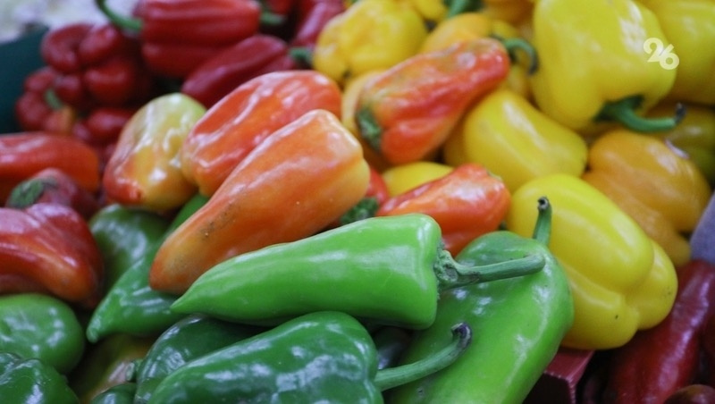      Фото: Дмитрий Ахмадуллин / ИА «Победа26»