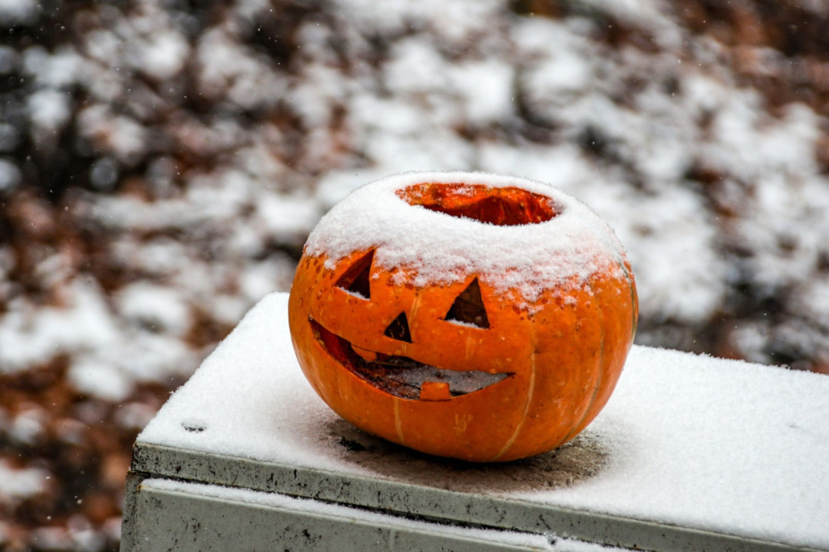    Сергей Лантюхов/NEWS.ru