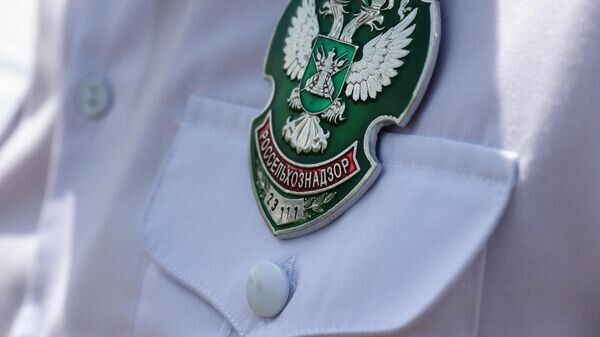    © Sputnik / Виталий Тимкив