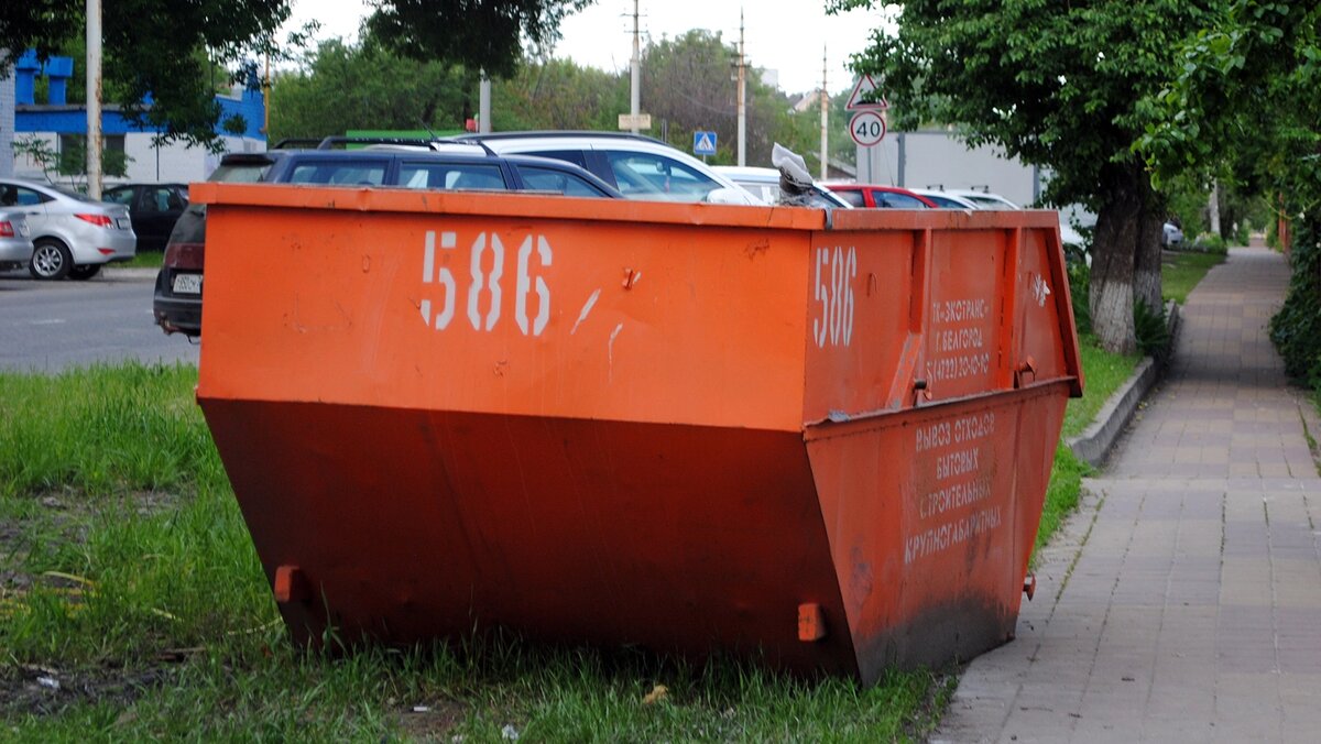    Фото: Сергей Егоров