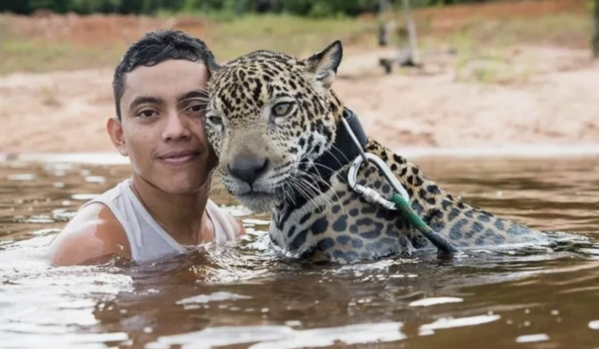 Фото взято из открытого источника