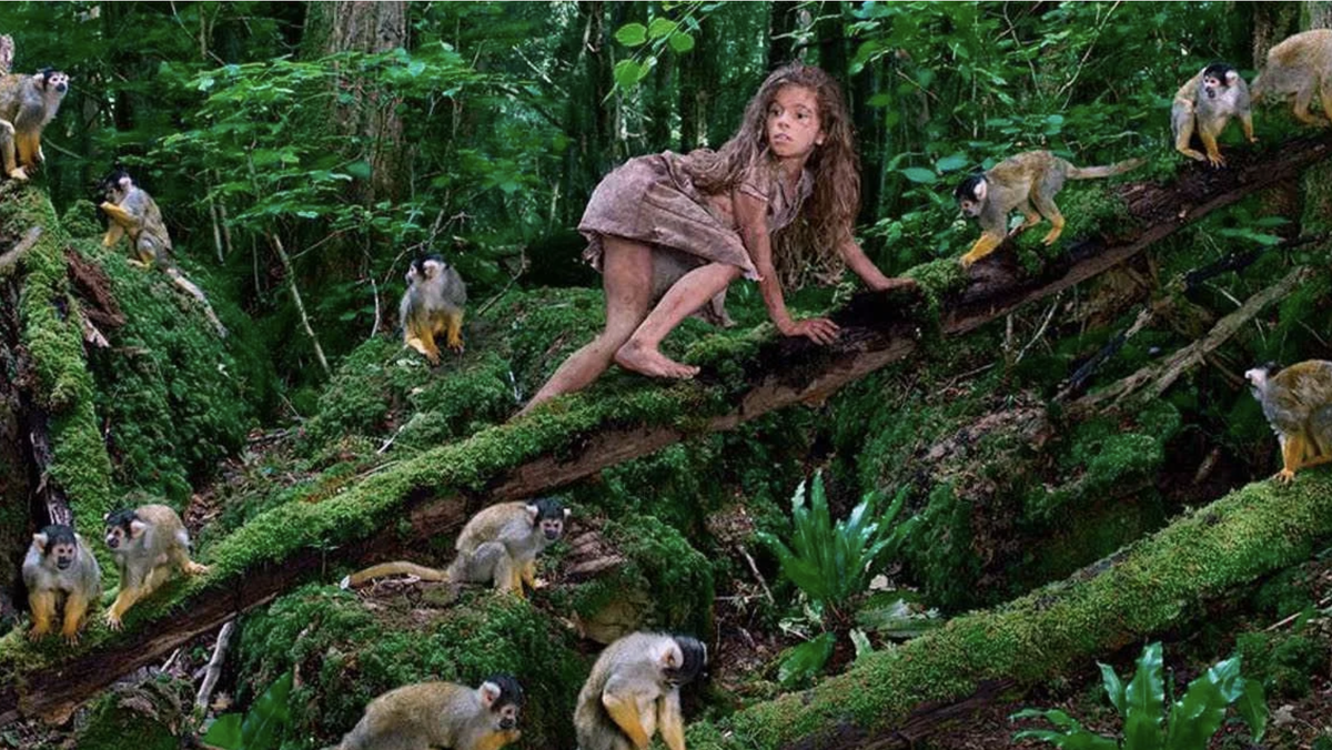 Фото взято из открытого источника