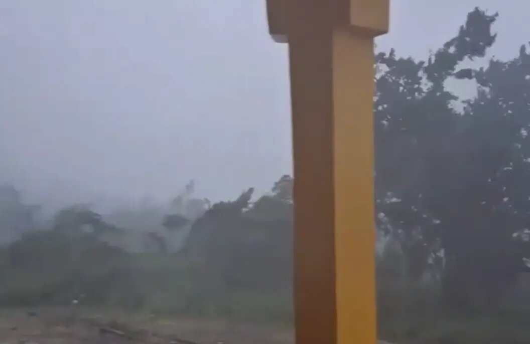    Фото: скриншот видео в соцсетях