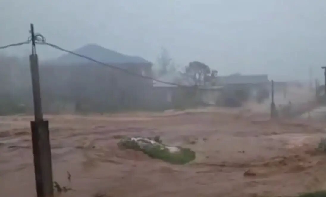    Фото: скриншот видео в соцсетях