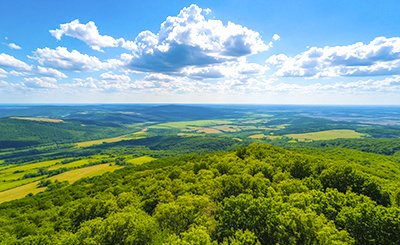 Изображение создано с помощью нейросети