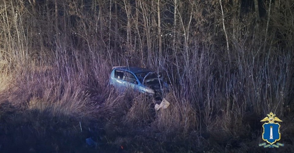    В Ульяновской области девушка попала в больницу после того, как сбила собаку. Фото: Госавтоинспекция УО