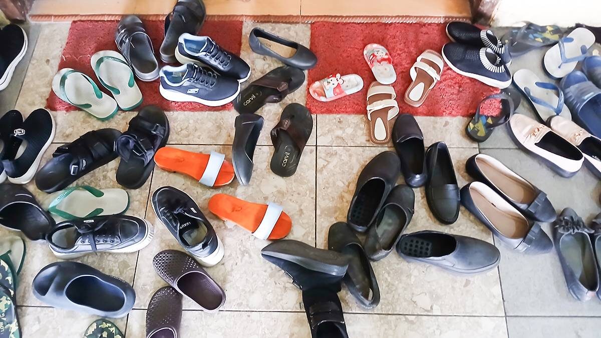    Фото: Shutterstock