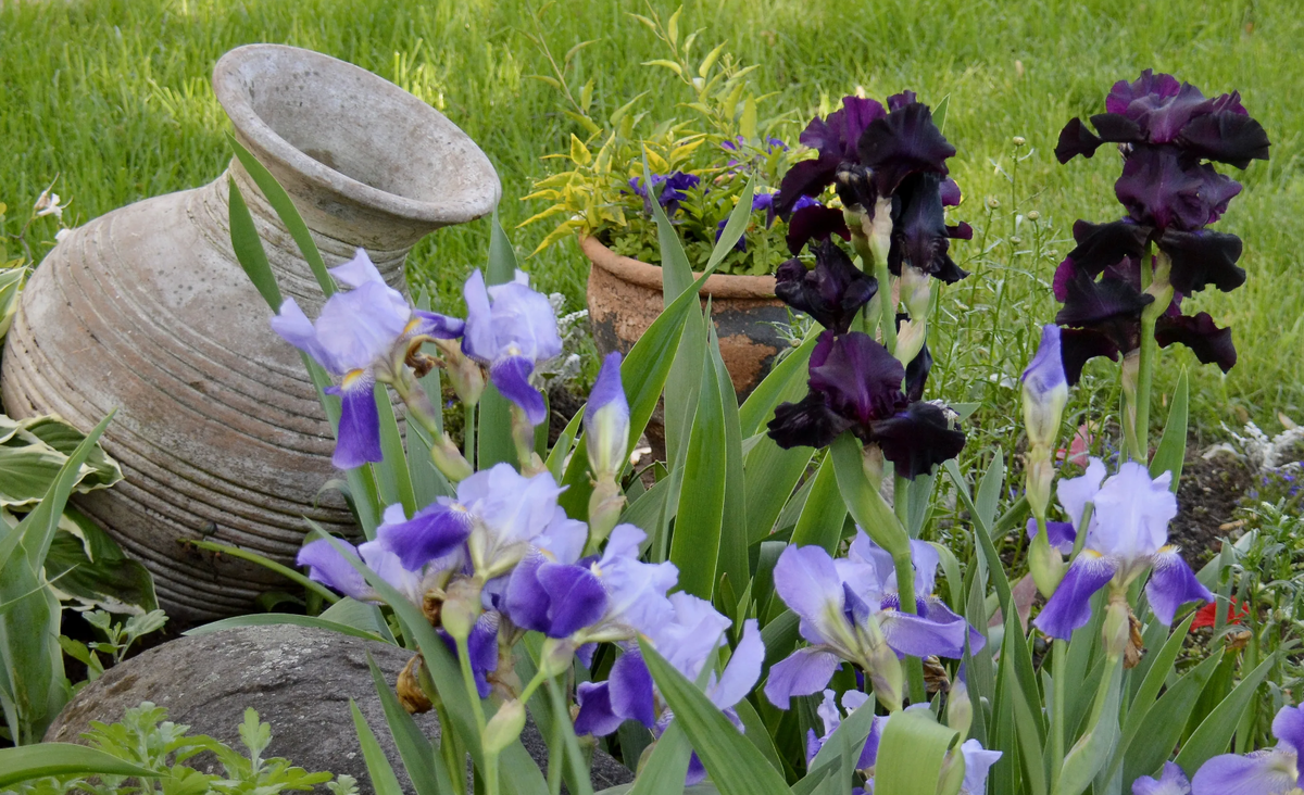 Источник фото: nn.ru