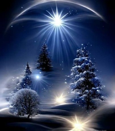 Чудеса зимнего леса - красивые елочки, схемы для вязания и вышивки!