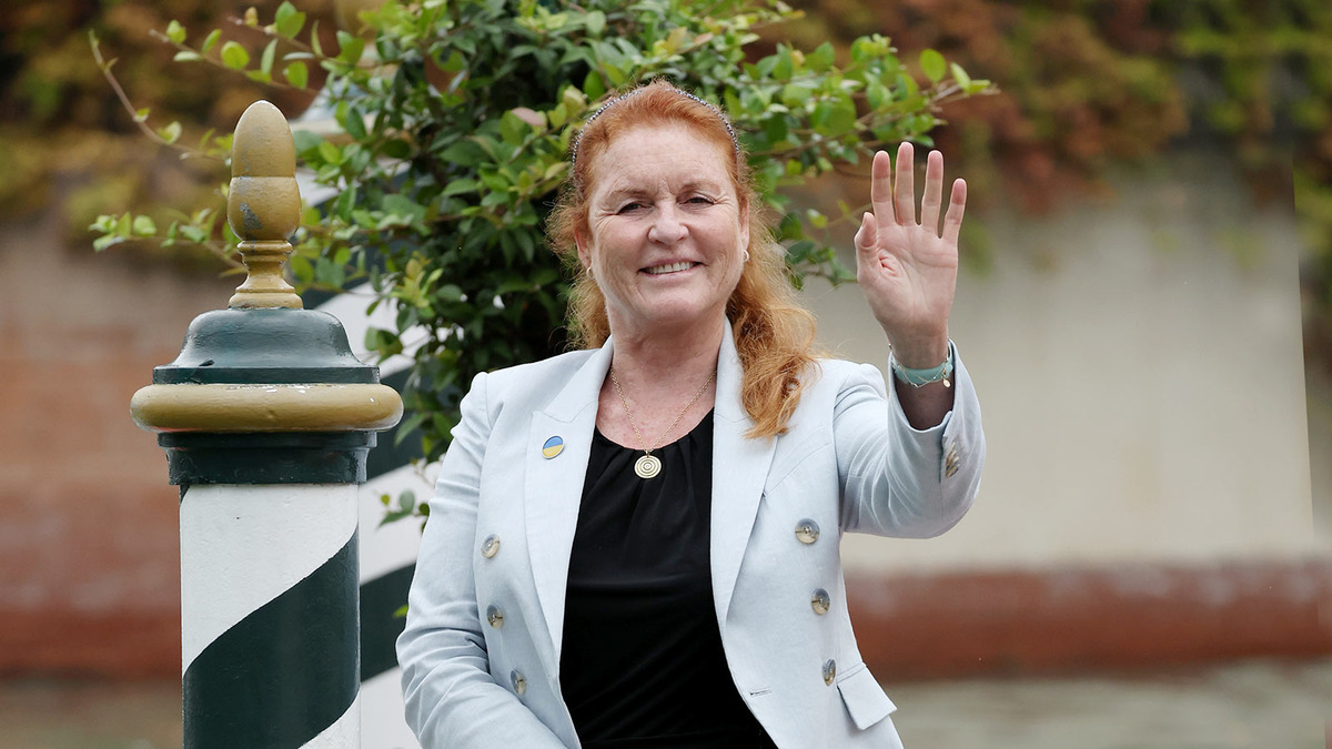 Изображение взято из открытого источника