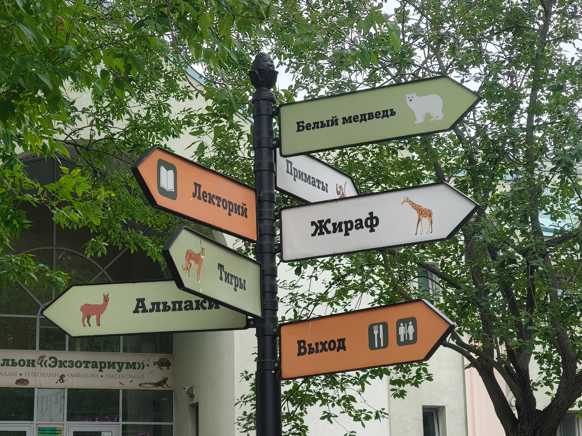 5 сентября 2025 года.