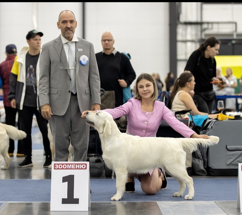 Риччи моя любовь.