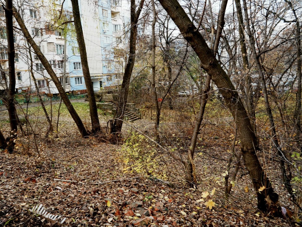    Фото: ТГ-канал Ивана Носкова