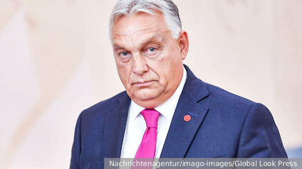     Фото: Nachrichtenagentur/imago-images/Global Look Press   
 Текст: Вера Басилая