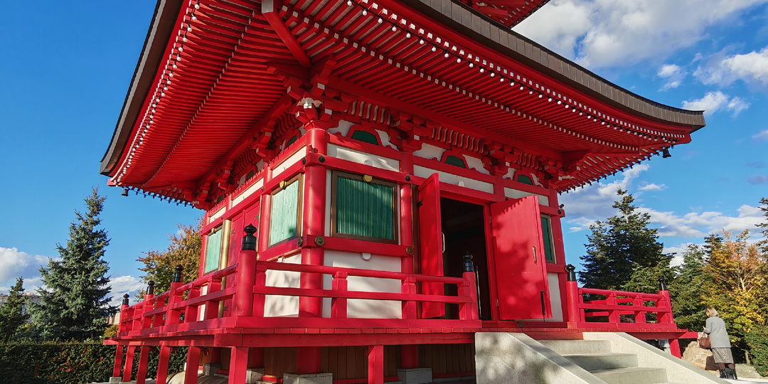 Осенний день в парке Галицкого в Краснодаре: или как легко попасть в знаменитый японский сад внутри парка