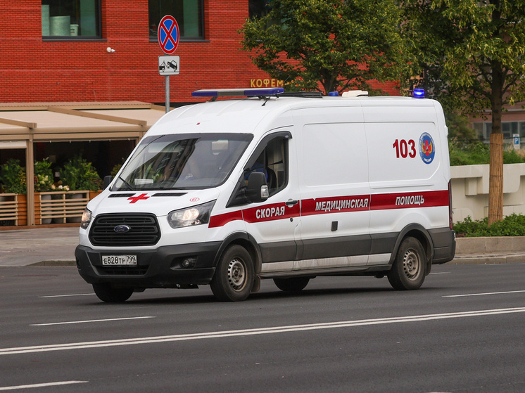     Фото: Shatokhina Natalia/news.ru/Global Look Press