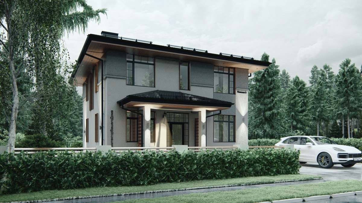 Перспектива Вид 1