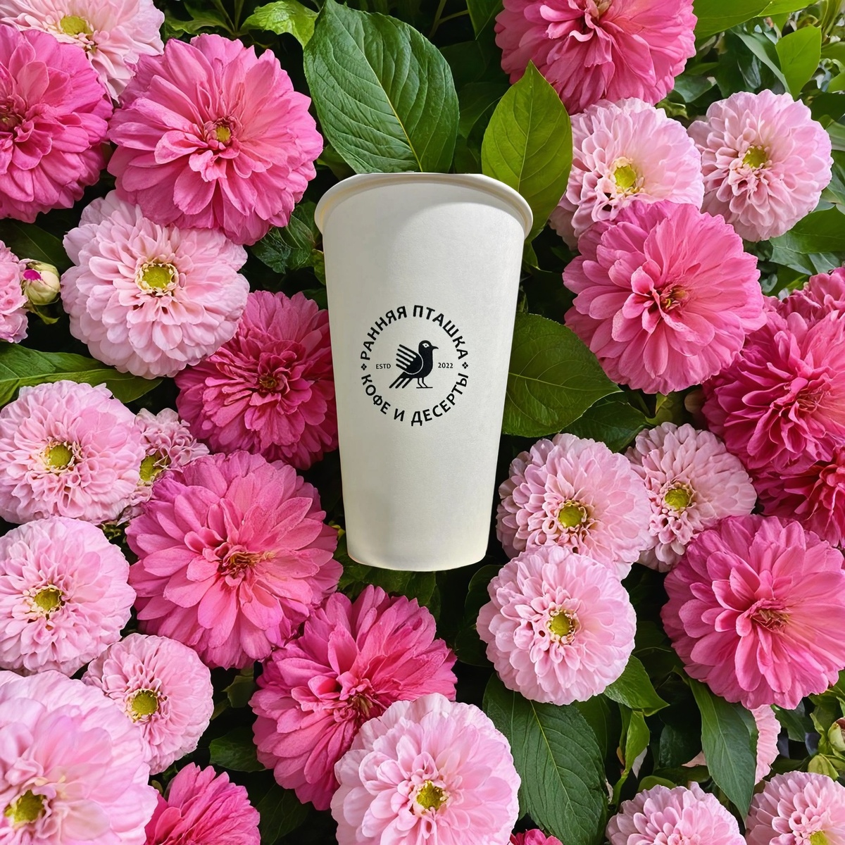 Бумажные стаканы - рекламный продукт Вашего бизнеса