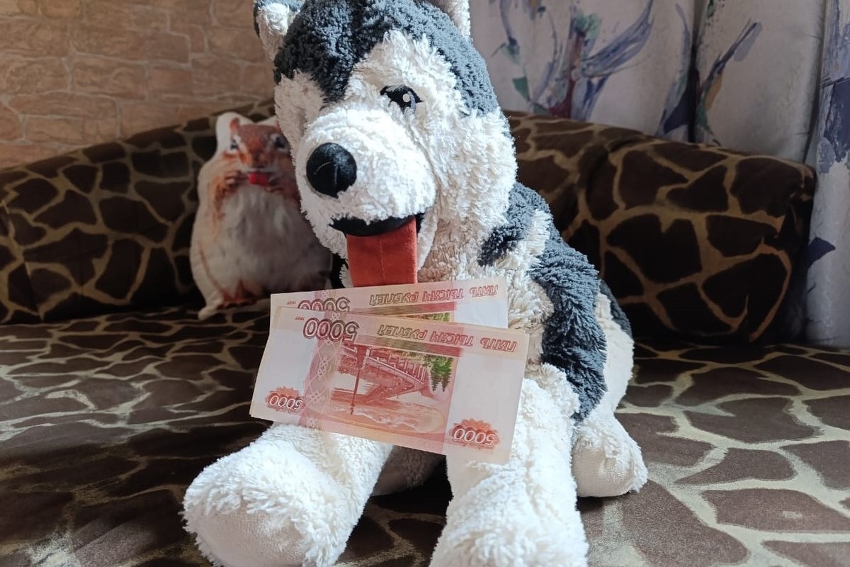    Фото: Светлана Соснина