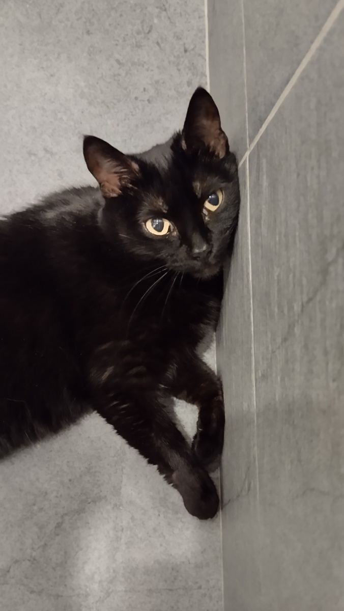 Сегодня рыбный день, ты не забыла?