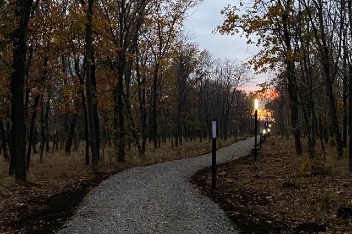    Глава Саратова Исаев рассказал о новой экотропе