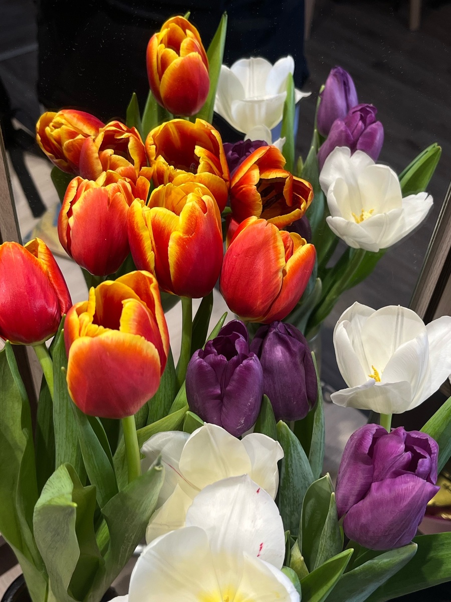 Тюльпаны на 8 марта. Как можно не считать этот праздник праздником?