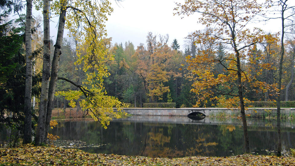     Тело пропавшего студента найдено рядом с открытой банкой с порошком в Петергофе РИА Новости/Михаил Мордасов